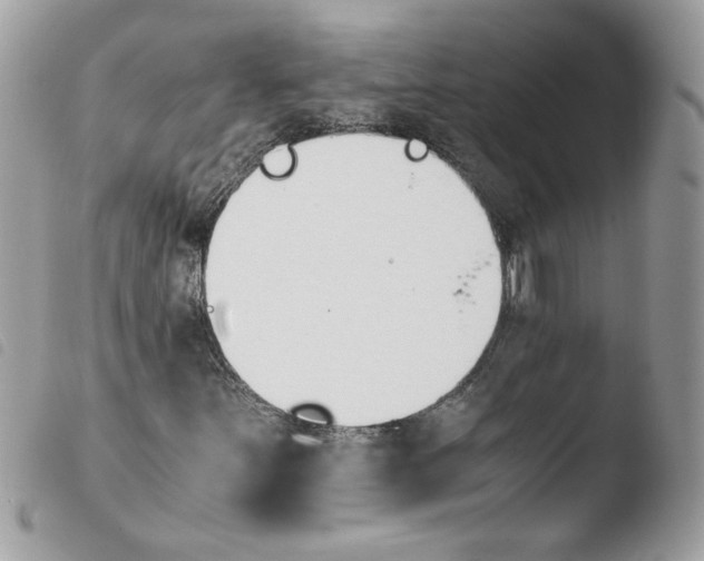 X0000103941251200810171807