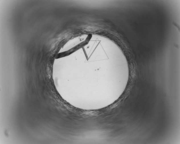 X0000103941253200810171807