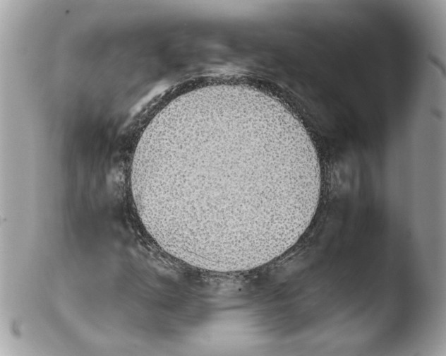 X0000103941254200810171807