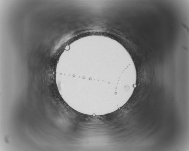 X0000103941255200810171807