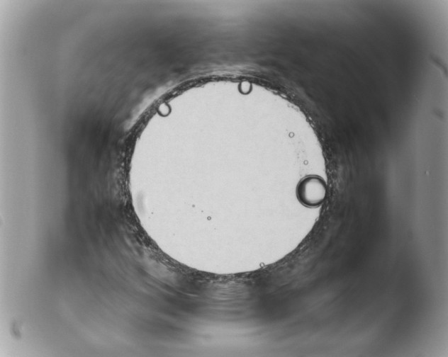 X0000103941256200810171807