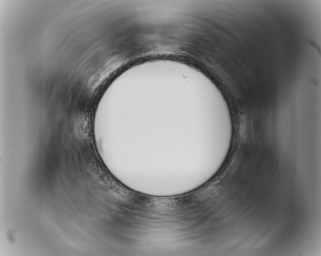 X0000103941258200810171807