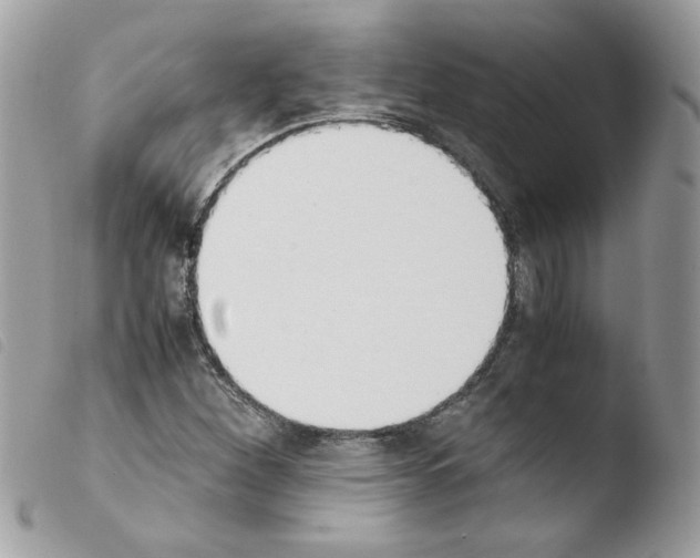 X0000103941260200810171807