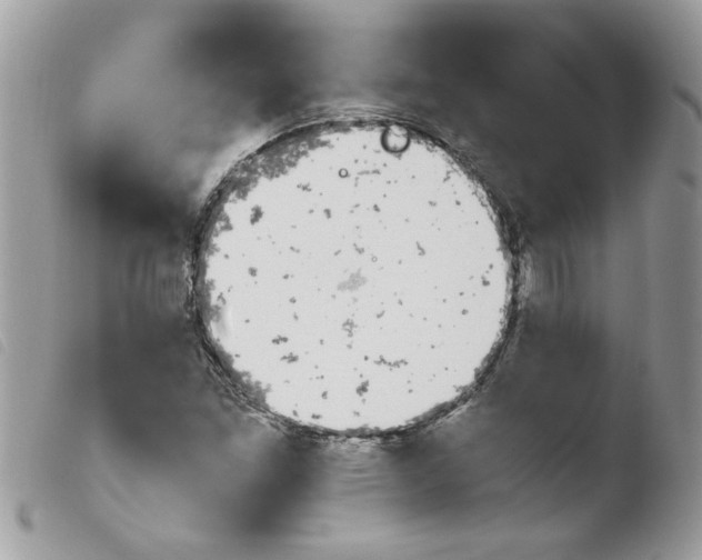 X0000103941261200810171807