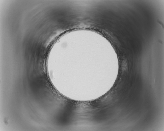 X0000103941262200810171807