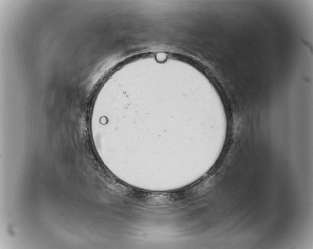 X0000103941263200810171807