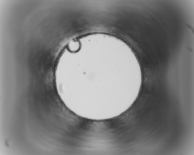 X0000103941264200810171807