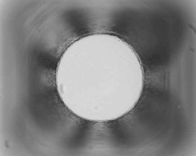 X0000103941265200810171807