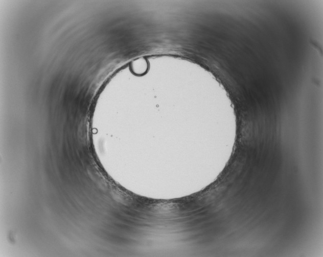 X0000103941268200810171807