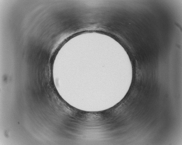 X0000103941270200810171806