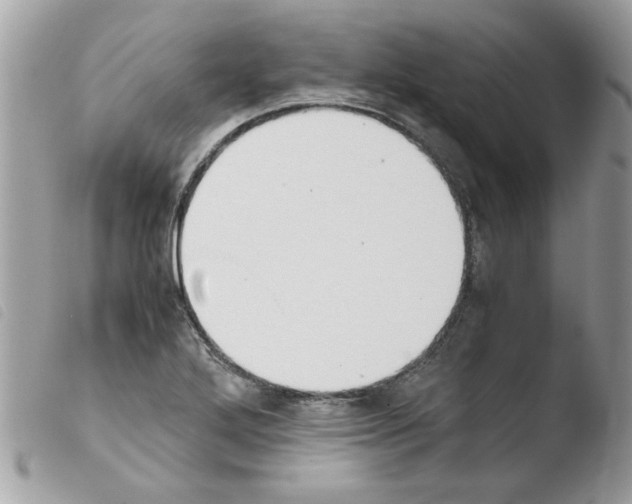 X0000103941272200810171806