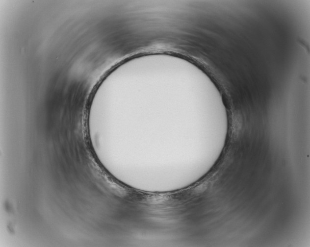 X0000103941278200810171806