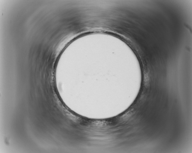 X0000103941279200810171806