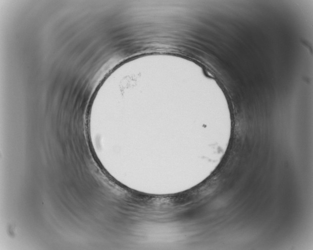 X0000103941283200810171806