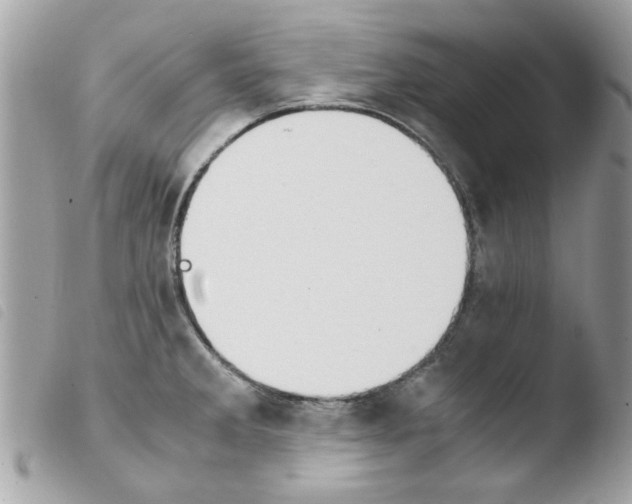 X0000103941285200810171806