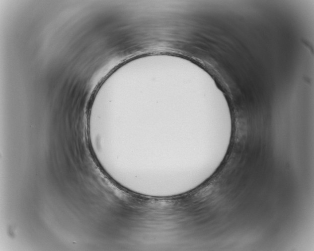 X0000103941286200810171806