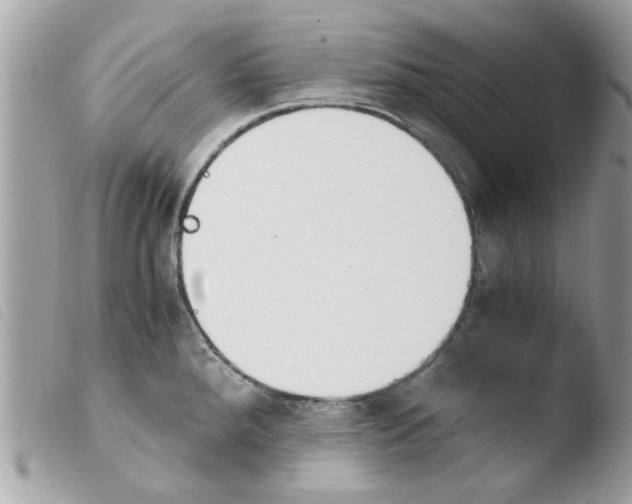 X0000103941288200810171806