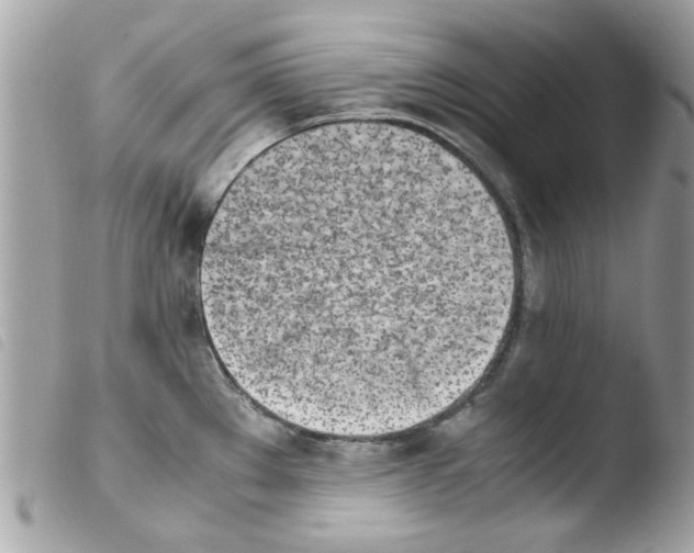 X0000103941289200810171806