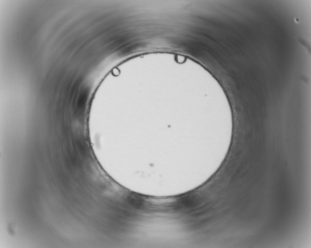 X0000103941296200810171806