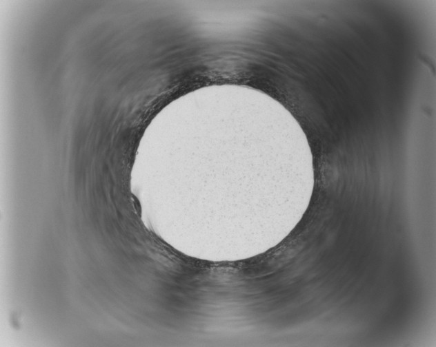 X0000103941297200810171805