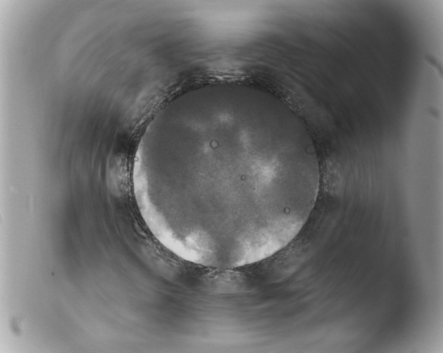 X0000103941298200810171805