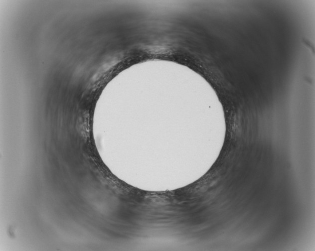 X0000103941301200810171806