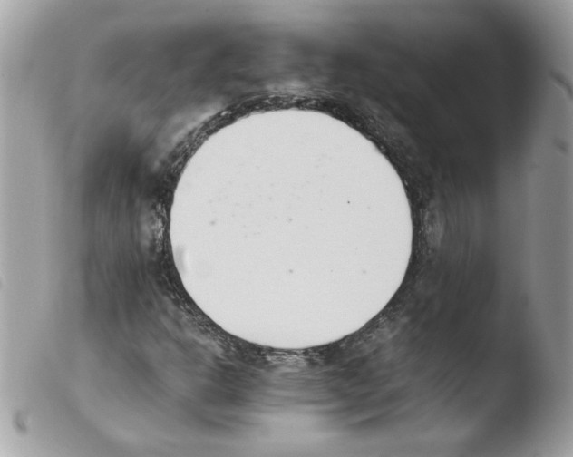 X0000103941302200810171806