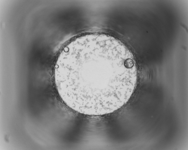 X0000103941304200810171806