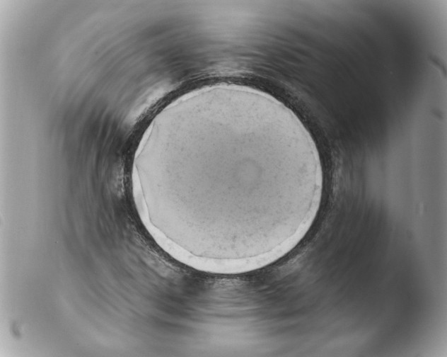 X0000103941306200810171806