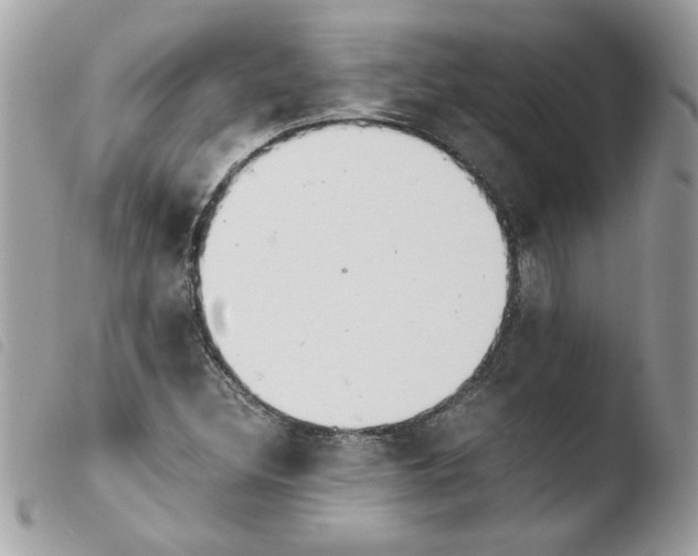 X0000103941308200810171806