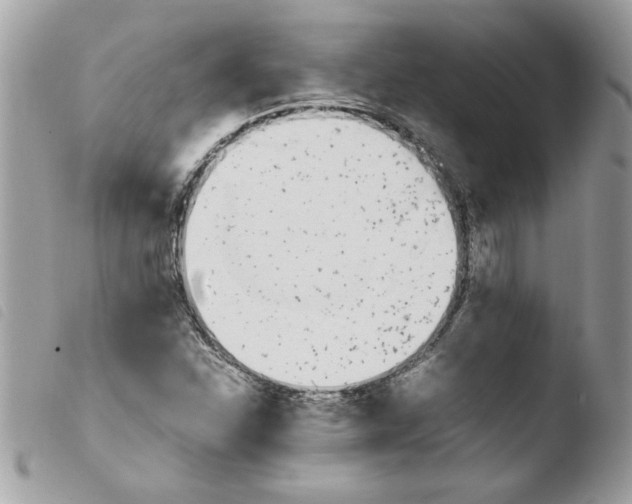 X0000103941310200810171806