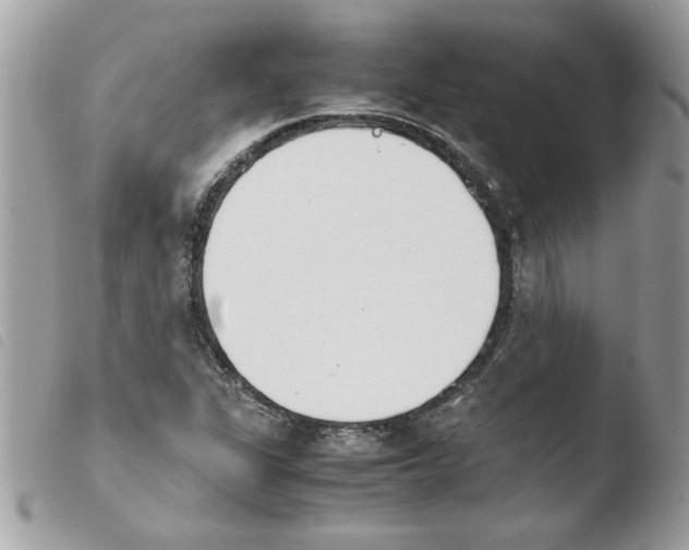 X0000103941311200810171806