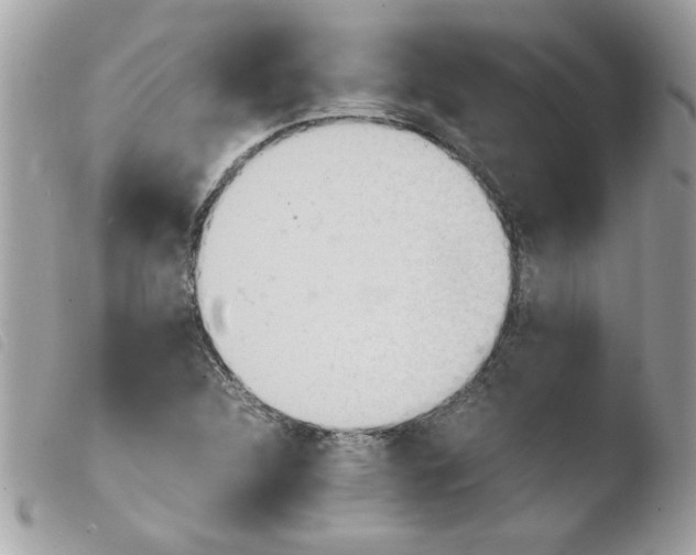 X0000103941312200810171806