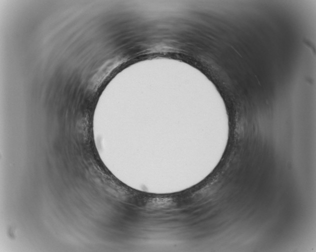 X0000103941313200810171806