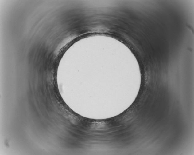 X0000103941315200810171806