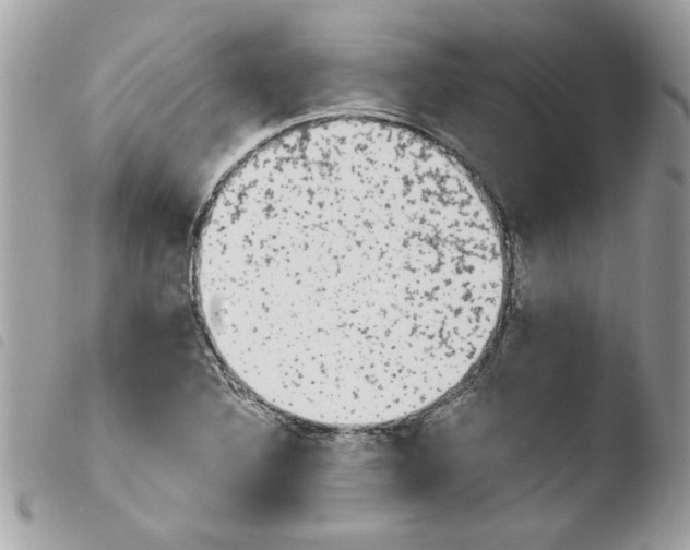 X0000103941316200810171806