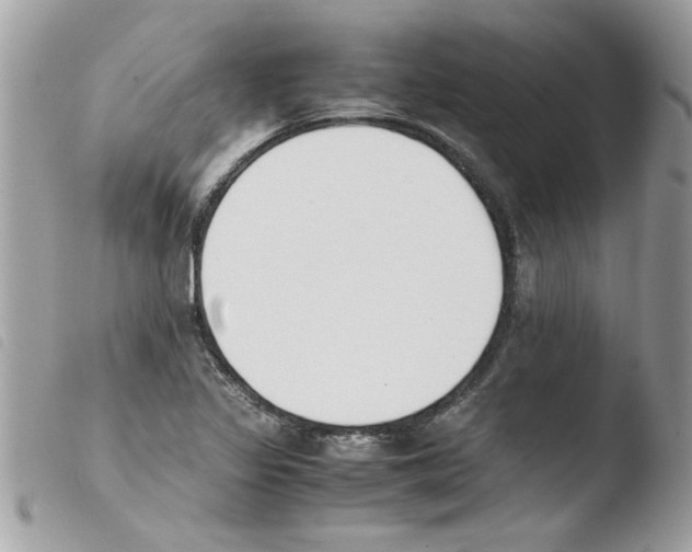 X0000103941317200810171806