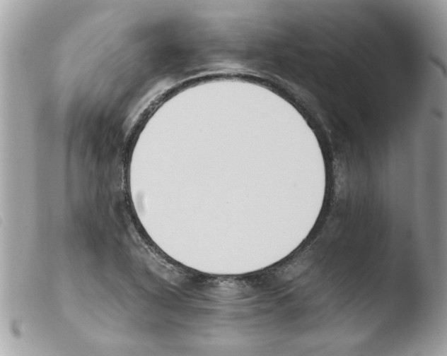 X0000103941318200810171806