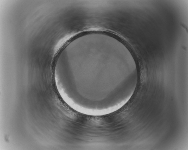 X0000103941319200810171806