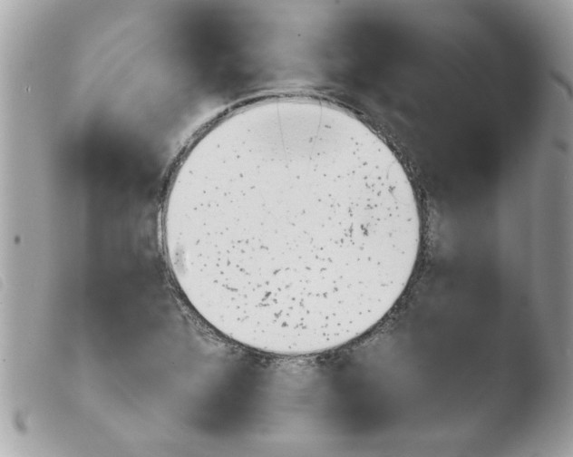 X0000103941320200810171806