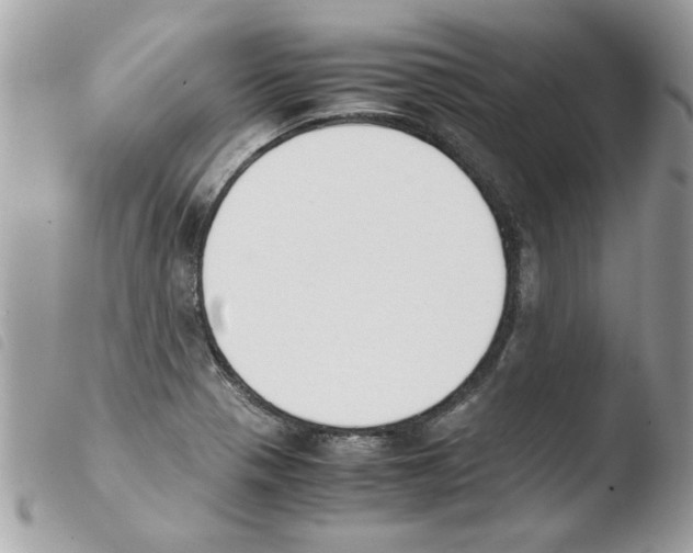 X0000103941321200810171806