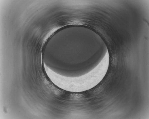 X0000103941323200810171806