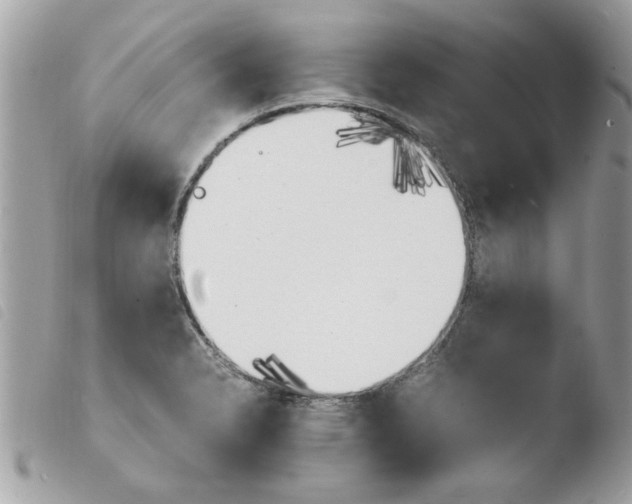 X0000103941326200810171806