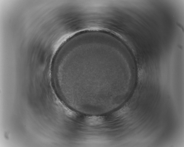 X0000103941327200810171806