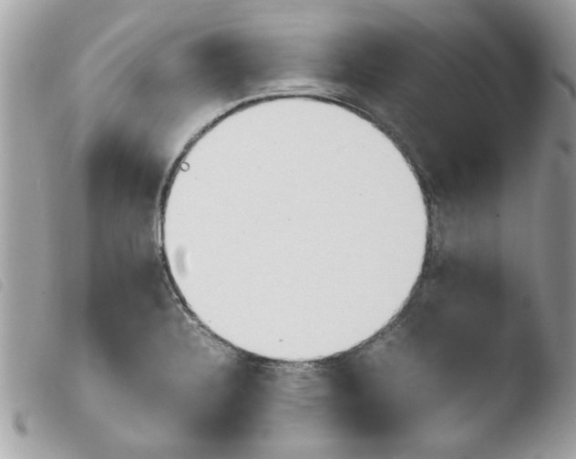 X0000103941328200810171806