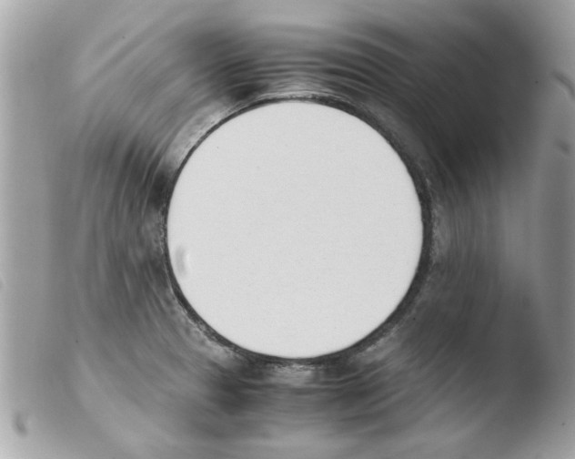 X0000103941329200810171806