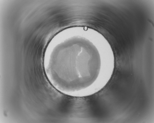 X0000103941334200810171806