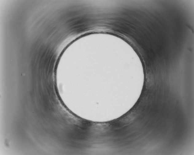 X0000103941335200810171806