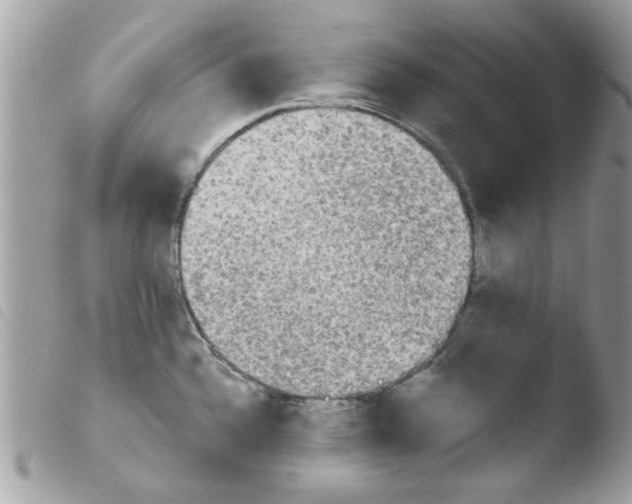 X0000103941336200810171806