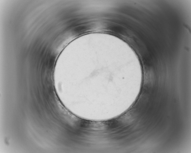 X0000103941338200810171806